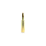 Screenshot Sellier Bellot 8x57 JS FMJ 12,7g Carpatia Arms Rzeszów Leżajsk Strzelnica Arizona