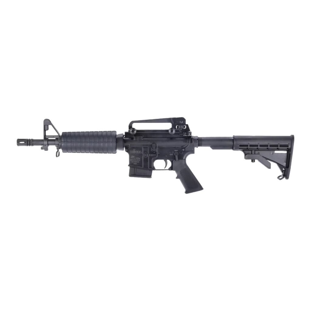 Kogel BK4, Norinco CQA CQ-A, 223rem, Carpatia Arms, Carpatia Group, Strzelnica Arizona, Rzeszow, Lezajsk